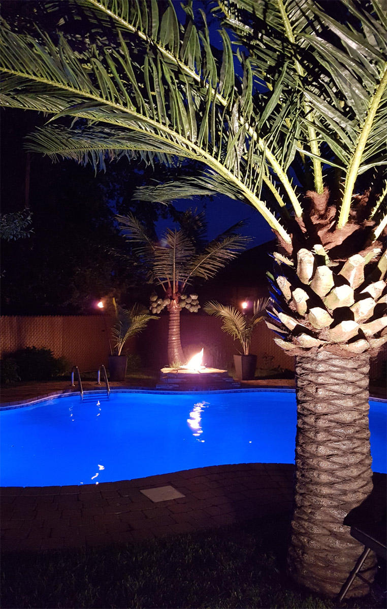 light artificial palm tree