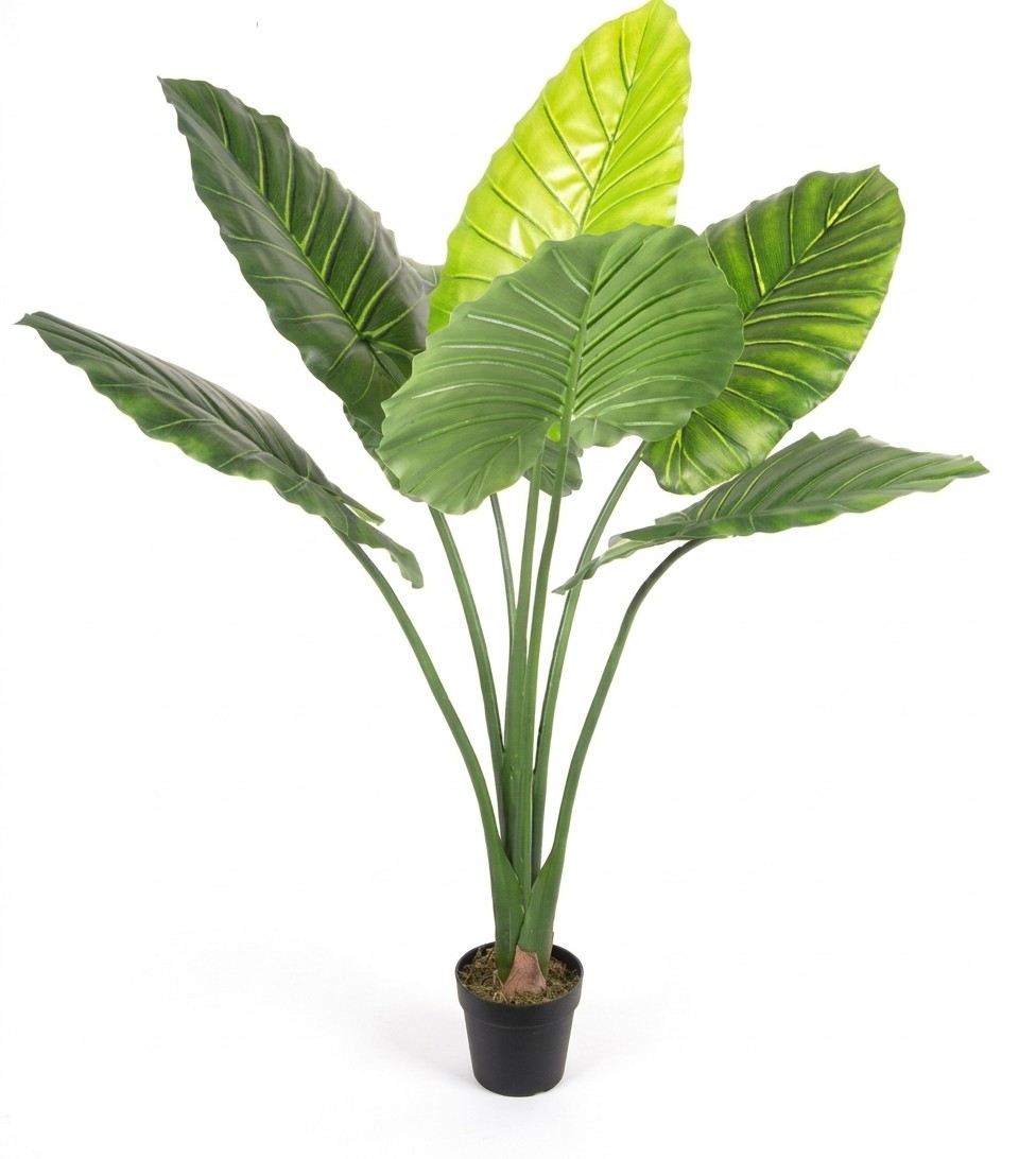 Grand Taro artificiel 160cm