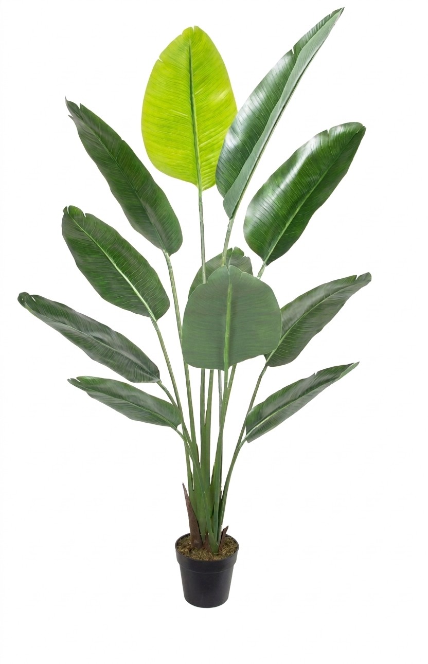 180cm Strelitzia Artificiel