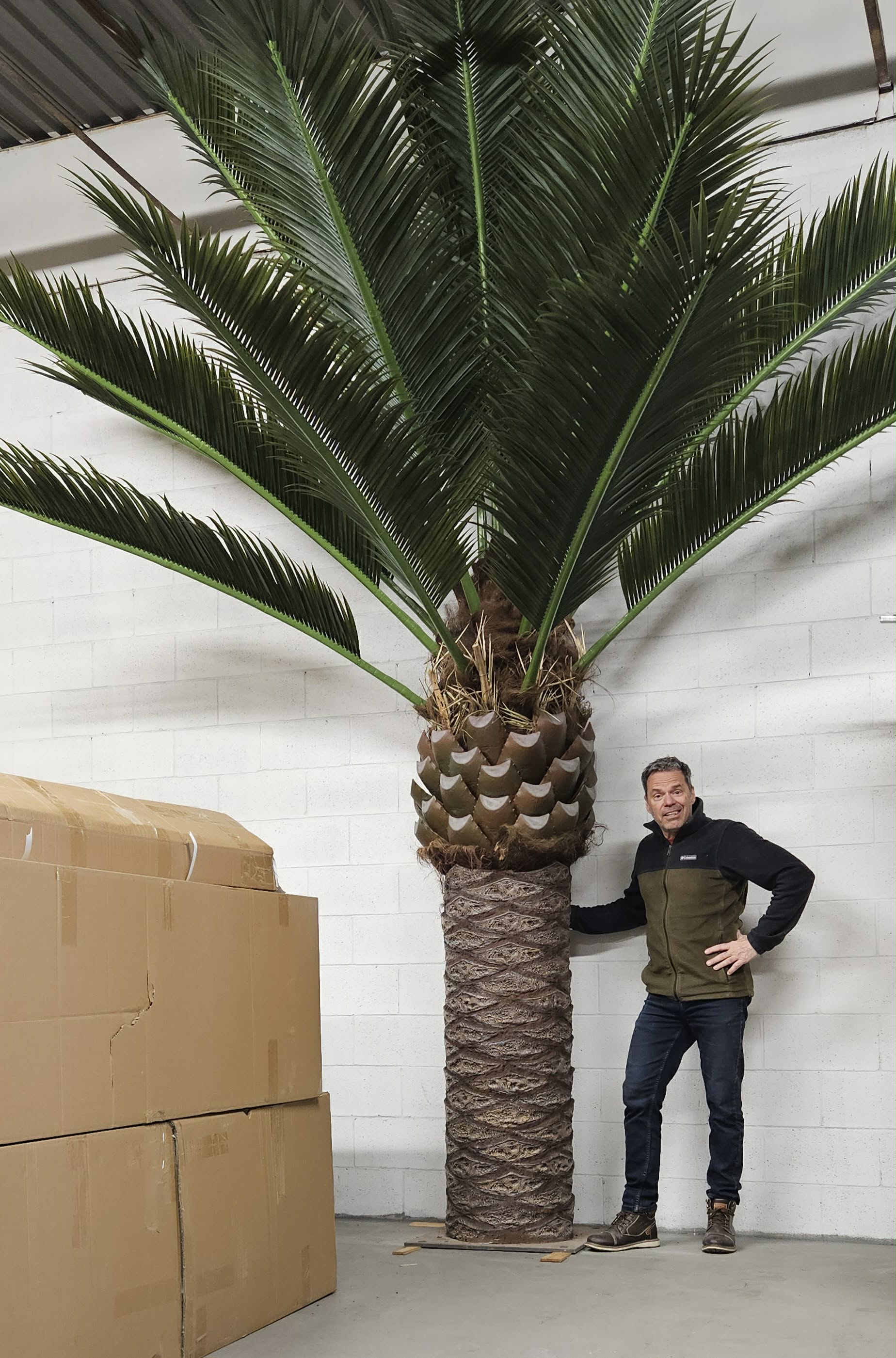 Palmier Dattier artificiel ( 3e Génération )