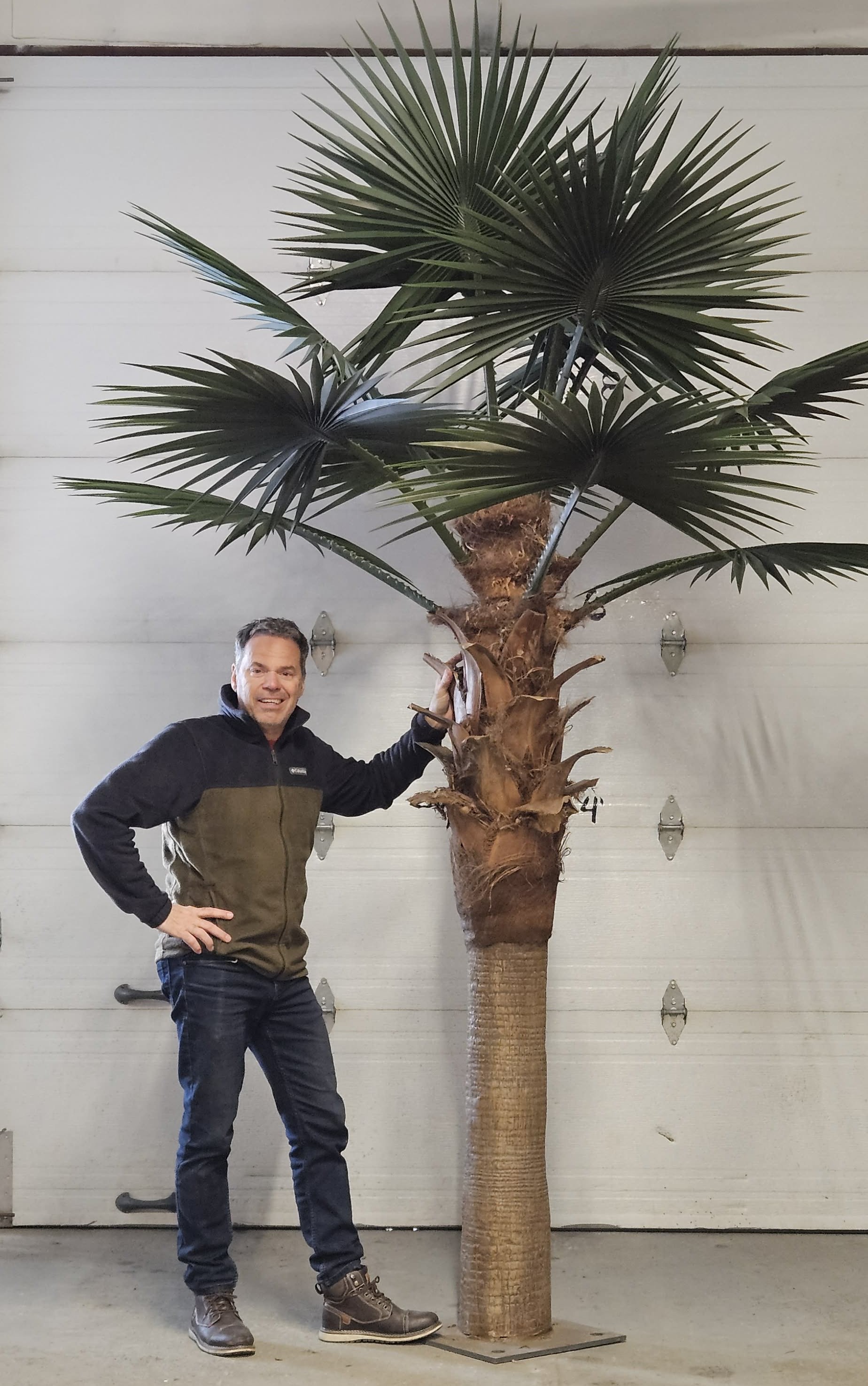 Petit Palmier Washingtonia artificiel